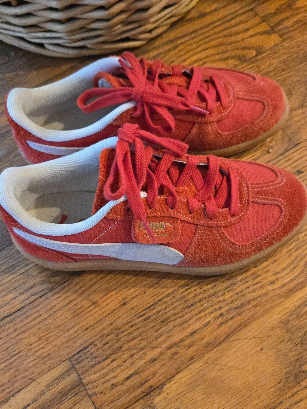 Red pumas